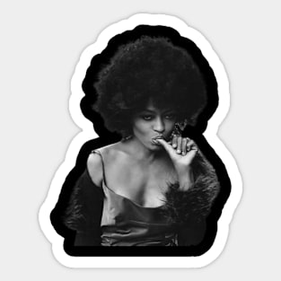 Diana - Vintage Sticker